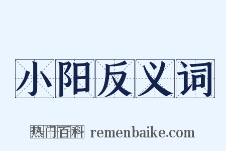小阳反义词是什么意思的图片